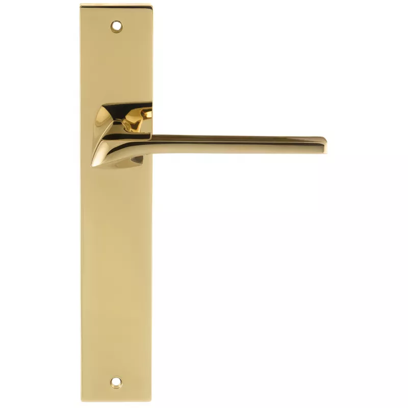 Дверная ручка на планке Extreza ERICA-PL13-F06-PVD (ERICA 119) полированная латунь PVD