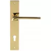 Дверная ручка на планке Extreza ERICA-PL13-WC-96-F06-PVD (ERICA 119) полированная латунь PVD