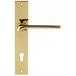 Дверная ручка на планке Extreza ERICA-PL13-WC-96-F06-PVD (ERICA 119) полированная латунь PVD