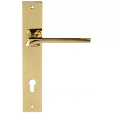 Дверная ручка на планке Extreza ERICA-PL13-WC-96-F06-PVD (ERICA 119) полированная латунь PVD