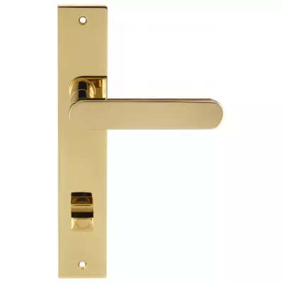 Дверная ручка Extreza Hi-tech "JEMMA" 116 на планке PL13-WC-96-F06 полированная латунь PVD