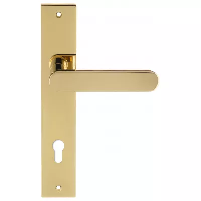 Дверная ручка Extreza Hi-tech "JEMMA" 116 на планке PL13-CYL-85-F06 полированная латунь PVD