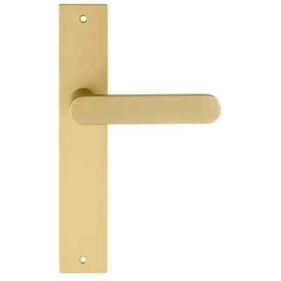 Дверная ручка Extreza Hi-tech "JEMMA" 116 на планке PL13 матовая латунь F02