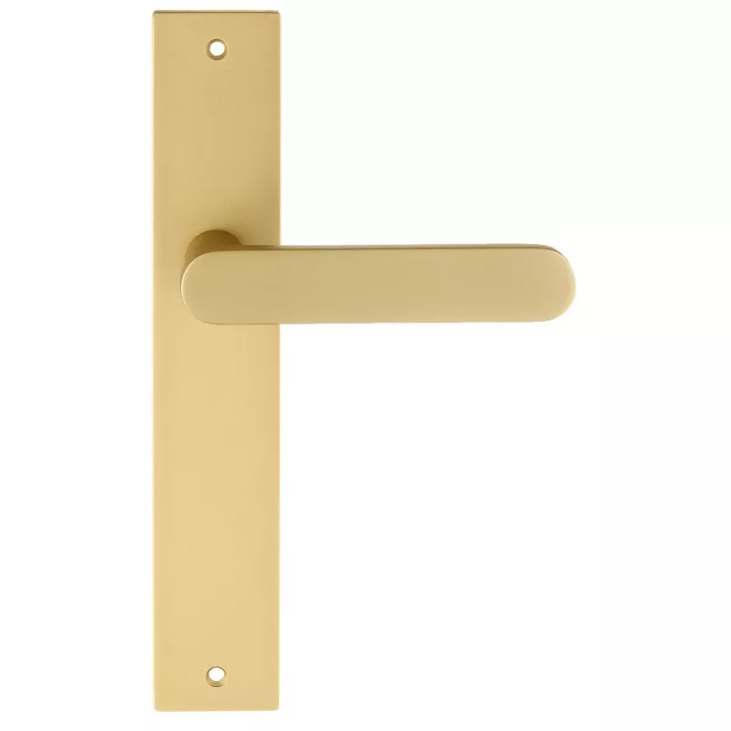 Дверная ручка Extreza Hi-tech "JEMMA" 116 на планке PL13 матовая латунь F02
