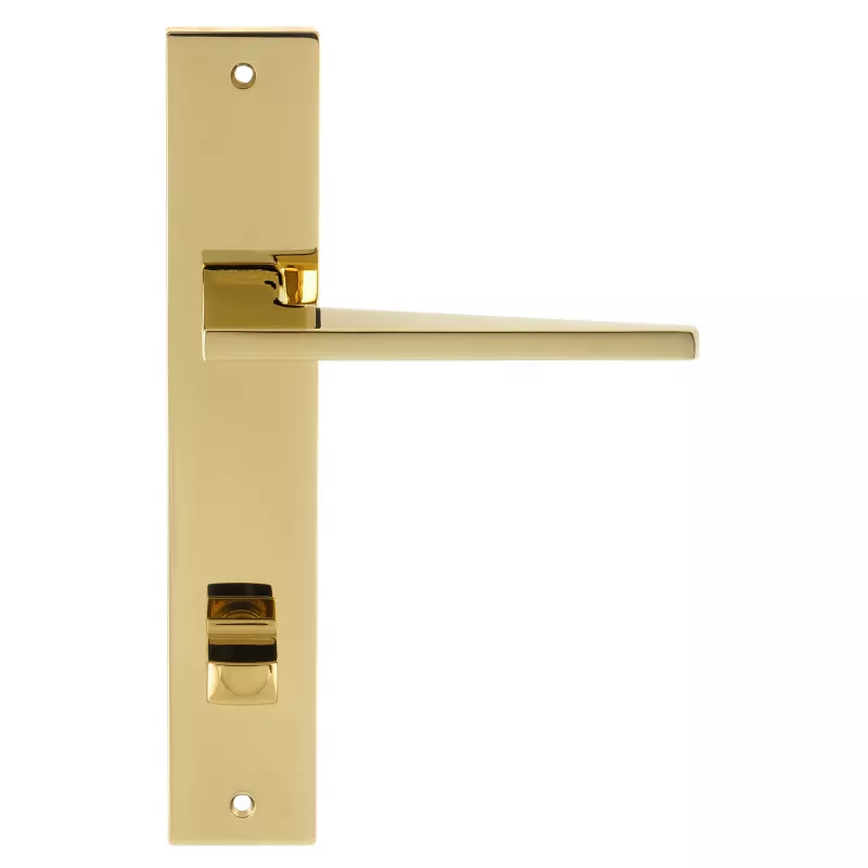 Дверная ручка на планке Extreza Hi-Tech "AZIMUT" 102 PL13-WC-96 полированная латунь PVD F06