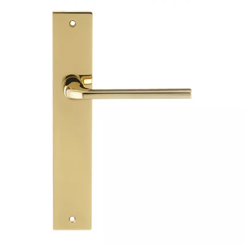 Дверная ручка Extreza Hi-Tech "TERNI" 320 на планке PL13 полированная латунь PVD F06