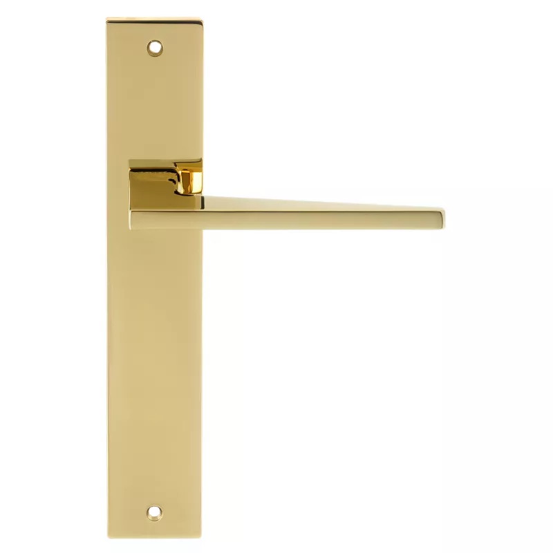 Дверная ручка на планке Extreza Hi-Tech "AZIMUT" 102 PL13 полированная латунь PVD F06