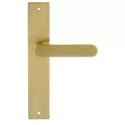 Дверная ручка Extreza Hi-tech "JEMMA" 116 на планке PL13 матовая латунь PVD F08