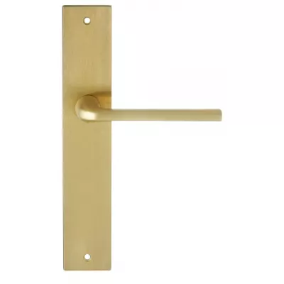 Дверная ручка Extreza Hi-Tech "TERNI" 320 на планке PL13 матовая латунь PVD F08