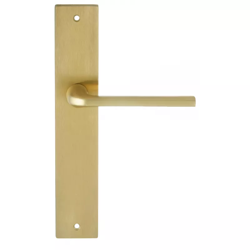 Дверная ручка Extreza Hi-Tech "TERNI" 320 на планке PL13 матовая латунь PVD F08