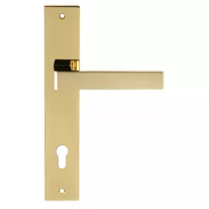 Дверная ручка на планке Extreza ENZO-PL13-CYL85-PVD-F06 (ENZO 117) полированная латунь PVD