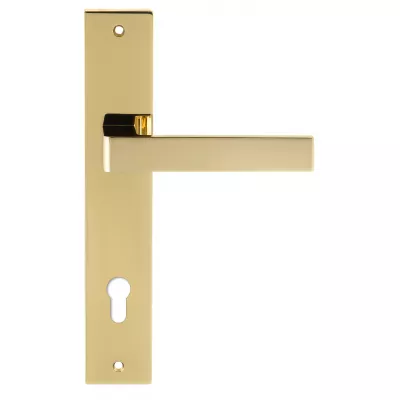 Дверная ручка на планке Extreza ENZO-PL13-CYL85-PVD-F06 (ENZO 117) полированная латунь PVD