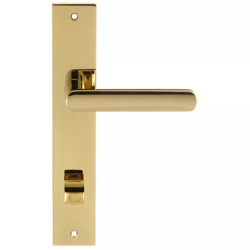 Дверная ручка на планке Extreza Hi-Tech "AQUA" 113 PL13-WC-96 полированная латунь F06 PVD