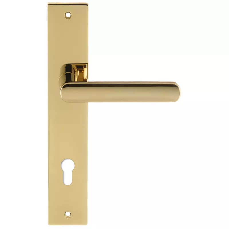 Дверная ручка на планке Extreza Hi-Tech "AQUA" 113 PL13-CYL-85 полированная латунь F06 PVD