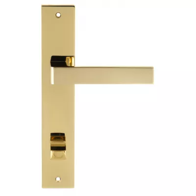 Дверная ручка на планке Extreza ENZO-PL13-WC96-PVD-F06 (ENZO 117) полированная латунь PVD