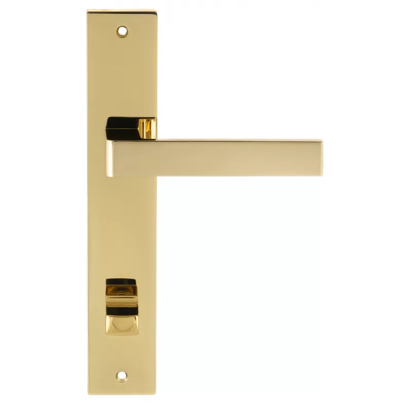 Дверная ручка на планке Extreza ENZO-PL13-WC96-PVD-F06 (ENZO 117) полированная латунь PVD