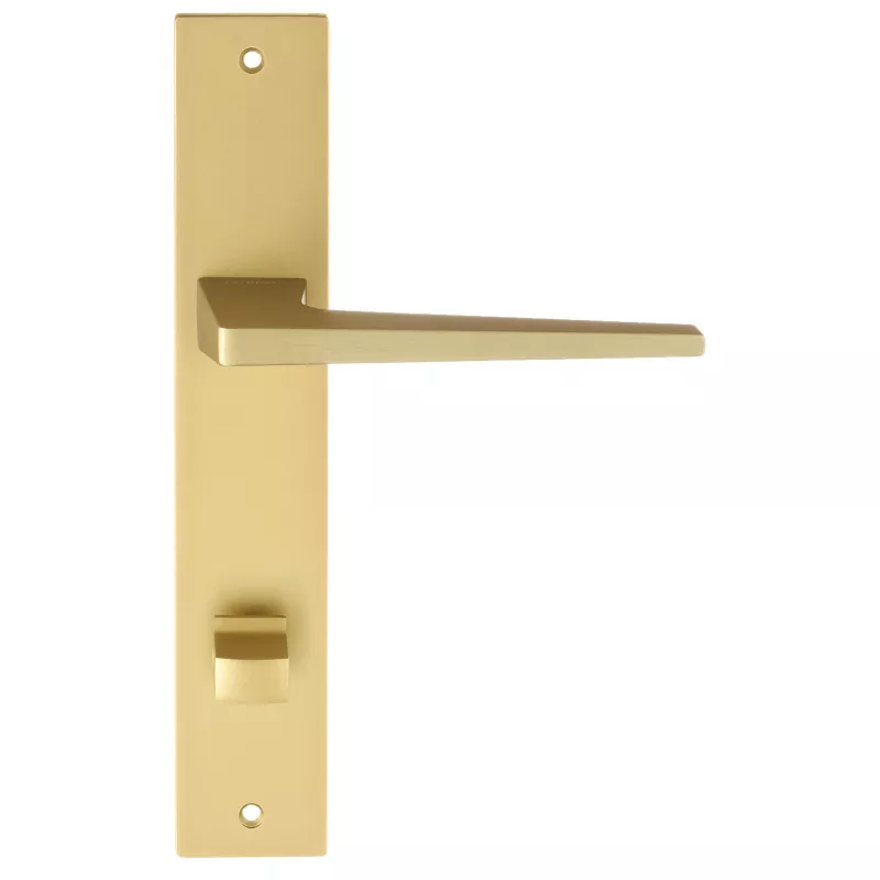 Дверная ручка на планке Extreza Hi-Tech "ALIOT" 129 PL13-WC-96 матовая латунь F02