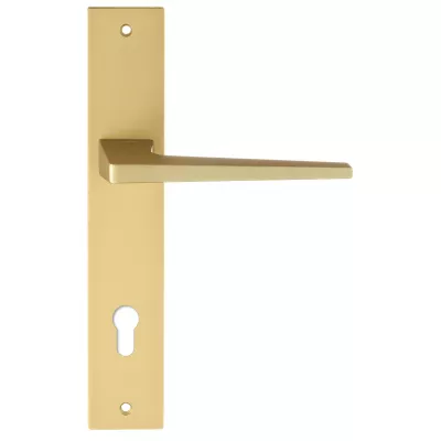 Дверная ручка на планке Extreza Hi-Tech "ALIOT" 129 PL13-CYL-85 матовая латунь F02