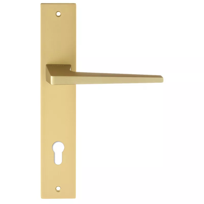 Дверная ручка на планке Extreza Hi-Tech "ALIOT" 129 PL13-CYL-85 матовая латунь F02