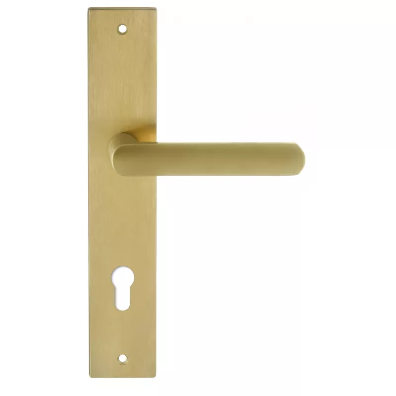 Дверная ручка на планке Extreza Hi-Tech "AQUA" 113 PL13-CYL-85 матовая латунь PVD F08