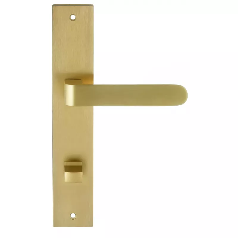 Дверная ручка на планке под WC Extreza Hi-Tech "RUBI" 132 PL13-WC-96 матовая латунь PVD F08