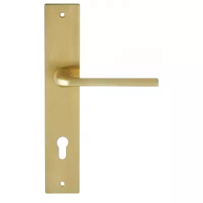 Дверная ручка Extreza Hi-Tech "TERNI" 320 на планке под цилиндр PL13-CYL-85 матовая латунь PVD F08