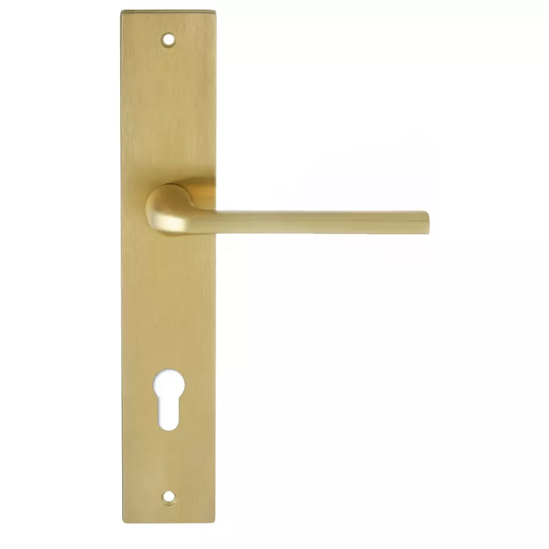 Дверная ручка Extreza Hi-Tech "TERNI" 320 на планке под цилиндр PL13-CYL-85 матовая латунь PVD F08