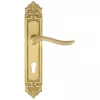 Дверная ручка Extreza "TOLEDO" (Толедо) 323 на планке PL02 матовая латунь F02 под цилиндровый механизм CYL