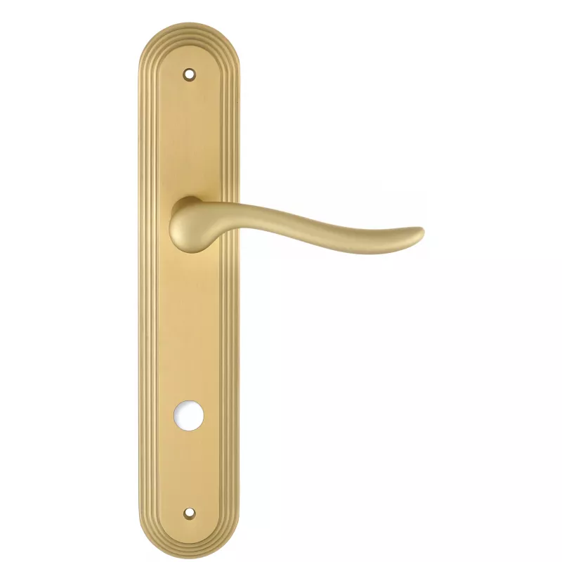 Дверная ручка Extreza "TOLEDO" (Толедо) 323 на планке PL05 матовая латунь F02 сантехническая завертка WC