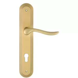 Дверная ручка Extreza 