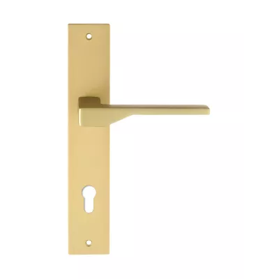 Дверная ручка на планке Extreza Hi-Tech "ADONA" 122 PL13-CYL-85 матовая латунь F02