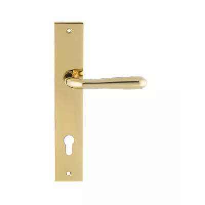 Дверная ручка на планке Extreza Hi-Tech "ALDO" 331 PL13-CYL-85 полированная латунь F06 PVD