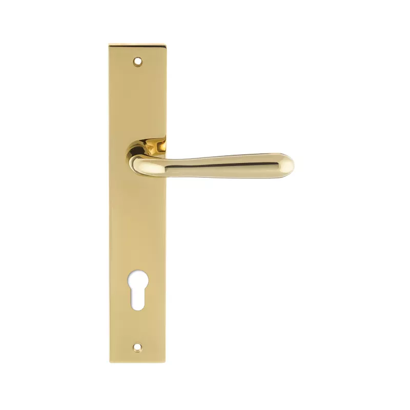 Дверная ручка на планке Extreza Hi-Tech "ALDO" 331 PL13-CYL-85 полированная латунь F06 PVD