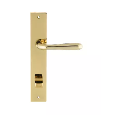 Дверная ручка на планке Extreza Hi-Tech "ALDO" 331 PL13-WC-96 полированная латунь F06 PVD