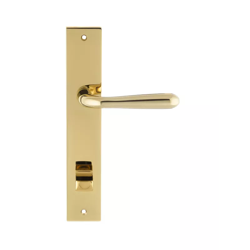 Дверная ручка на планке Extreza Hi-Tech "ALDO" 331 PL13-WC-96 полированная латунь F06 PVD