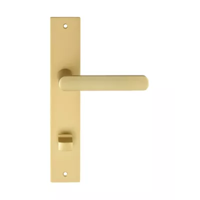 Дверная ручка на планке Extreza Hi-Tech "AQUA" 113 PL13-WC-96 матовая латунь F02