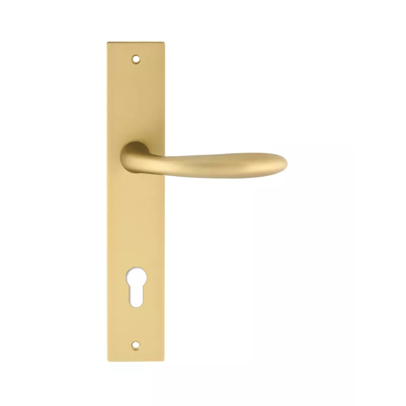 Дверная ручка на планке Extreza Hi-Tech "COMO" 322 PL13-CYL-85 матовая латунь F02