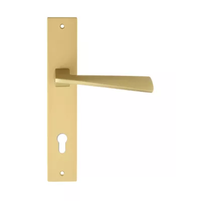 Дверная ручка на планке Extreza Hi-Tech "DIA" 118 PL13-CYL-85 матовая латунь F02