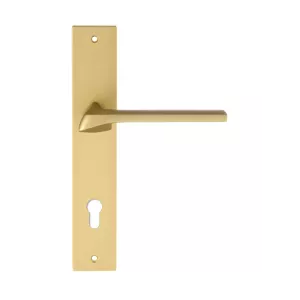 Дверная ручка на планке Extreza ERICA-PL13-CYL-85-F02 (ERICA 119) матовая латунь