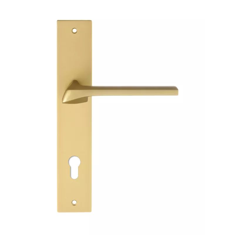 Дверная ручка на планке Extreza ERICA-PL13-CYL-85-F02 (ERICA 119) матовая латунь