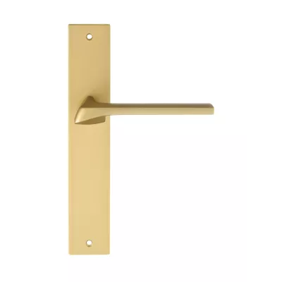 Дверная ручка на планке Extreza ERICA-PL13-F02 (ERICA 119) матовая латунь