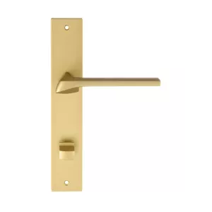 Дверная ручка на планке Extreza ERICA-PL13-WC-96-F02 (ERICA 119) матовая латунь