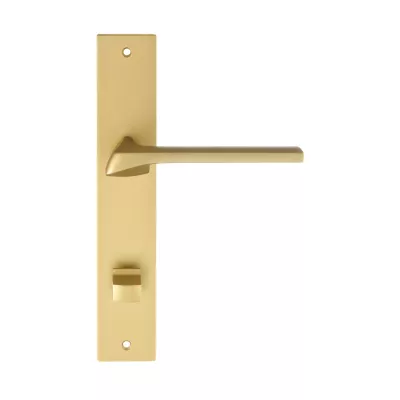 Дверная ручка на планке Extreza ERICA-PL13-WC-96-F02 (ERICA 119) матовая латунь