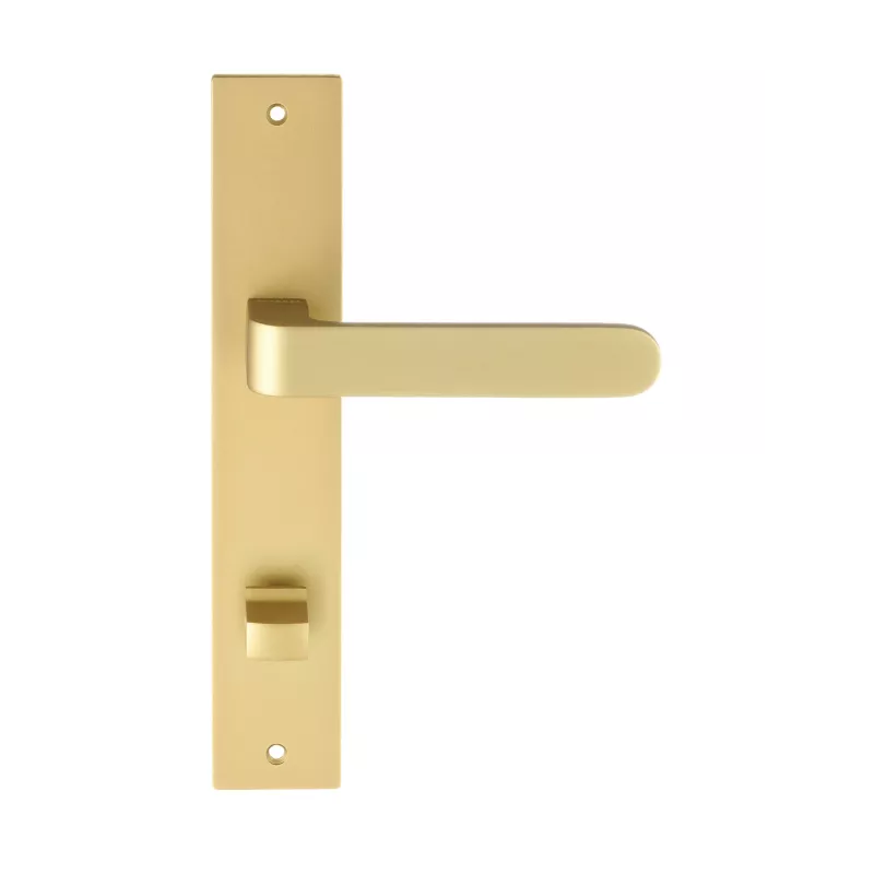 Дверная ручка на планке под WC Extreza Hi-Tech "RUBI" 132 PL13-WC-96 матовая латунь F02