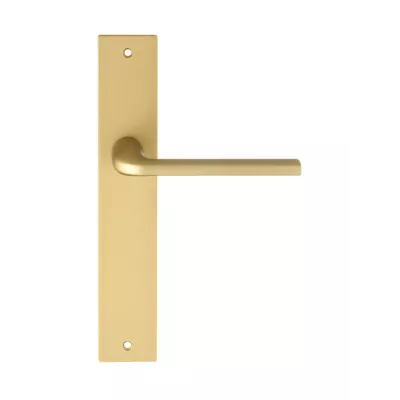 Дверная ручка Extreza Hi-Tech "TERNI" 320 на планке PL13 матовая латунь F02