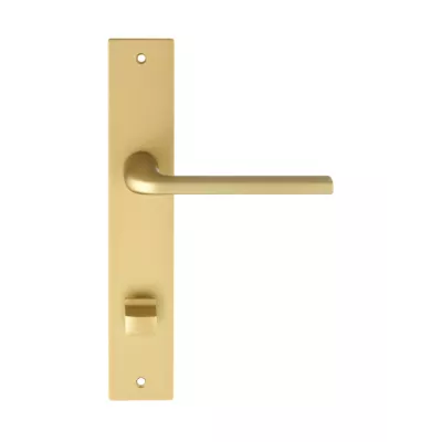 Дверная ручка Extreza Hi-Tech "TERNI" 320 на планке под фиксатор PL13-WC-96 матовая латунь F02