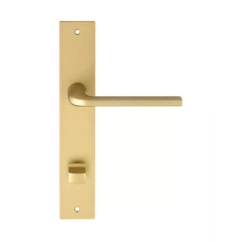 Дверная ручка Extreza Hi-Tech "TERNI" 320 на планке под фиксатор PL13-WC-96 матовая латунь F02