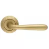 Дверная ручка Extreza "ALDO" (Алдо) 331 на розетке R05 матовая латунь F02