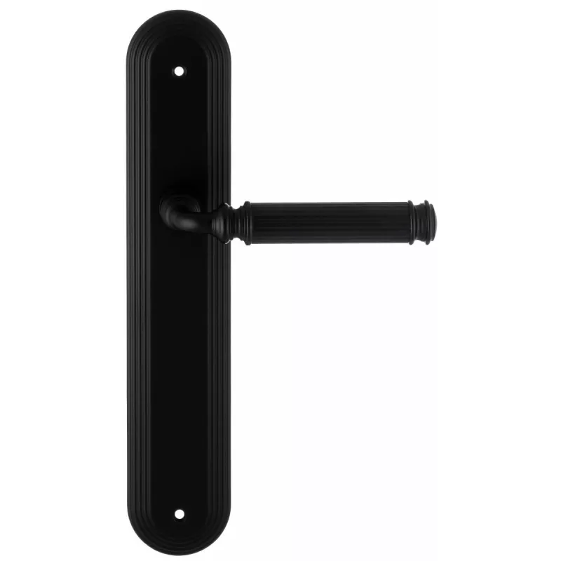 Дверная ручка Extreza "BENITO" (Бенито) 307 на планке PL05 черный F22 без доп. запирания PASS