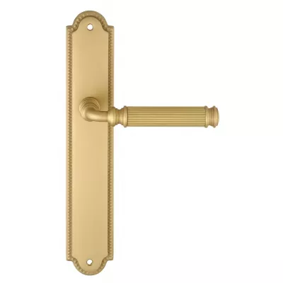 Дверная ручка на планке Extreza BENITO-PL03-F02 (BENITO 307) матовая латунь